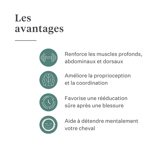 Equimove Balance Pads équilibre renforcement musculaire rééducation proprioception cheval entraînement | localization: FR