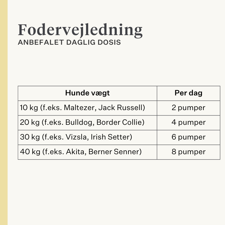 hund, hvalp, lakseolie, omega-3, kløende hud, tør hud, led, immunitet, supplement, kosttilskud | localization: DA