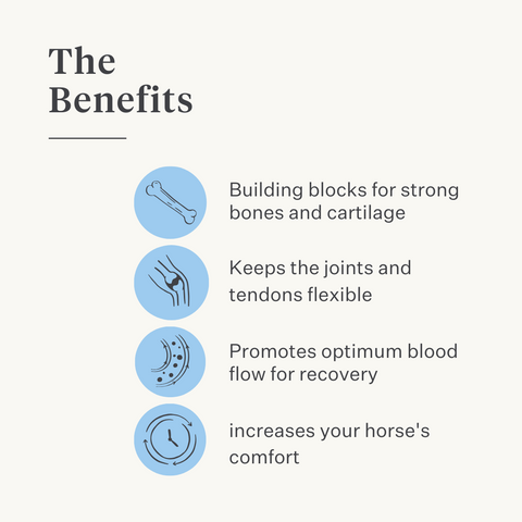 Natural supplement horse pony joints ligaments tendons muscles | localization: EN