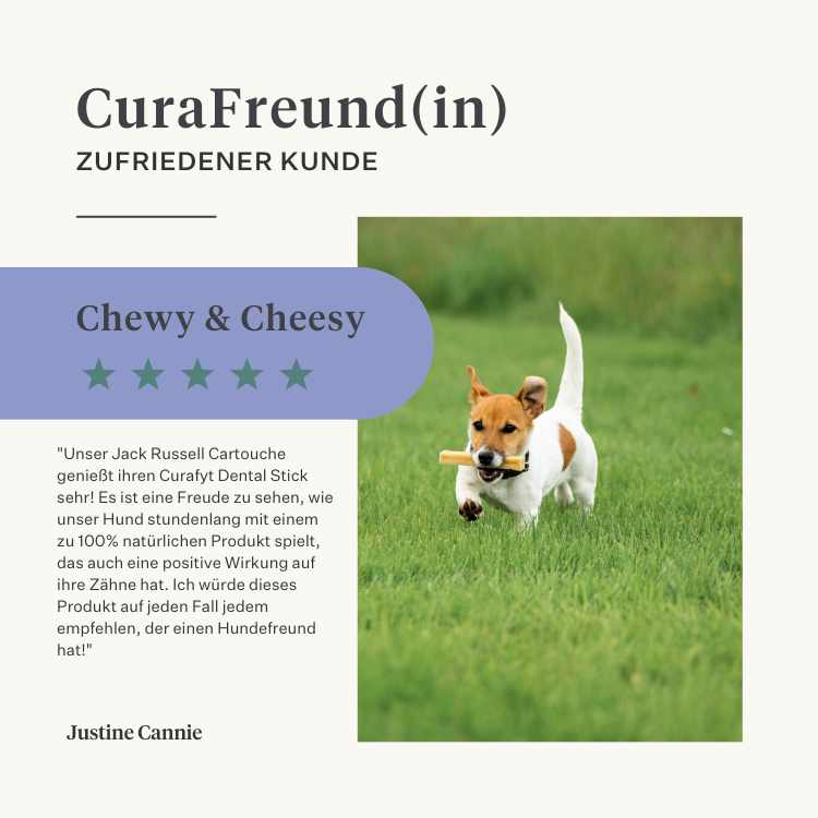 Hund Welpe Kauknochen Himalaya-Käse natürlich langanhaltend langlebig Zahngesundheit Zahnstein Plaque laktosefrei proteinreich | localization: DE