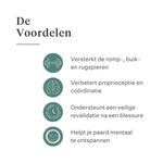 Equimove Balance Pads evenwichtstraining core stabiliteit revalidatie proprioceptie paard training | localization: NL