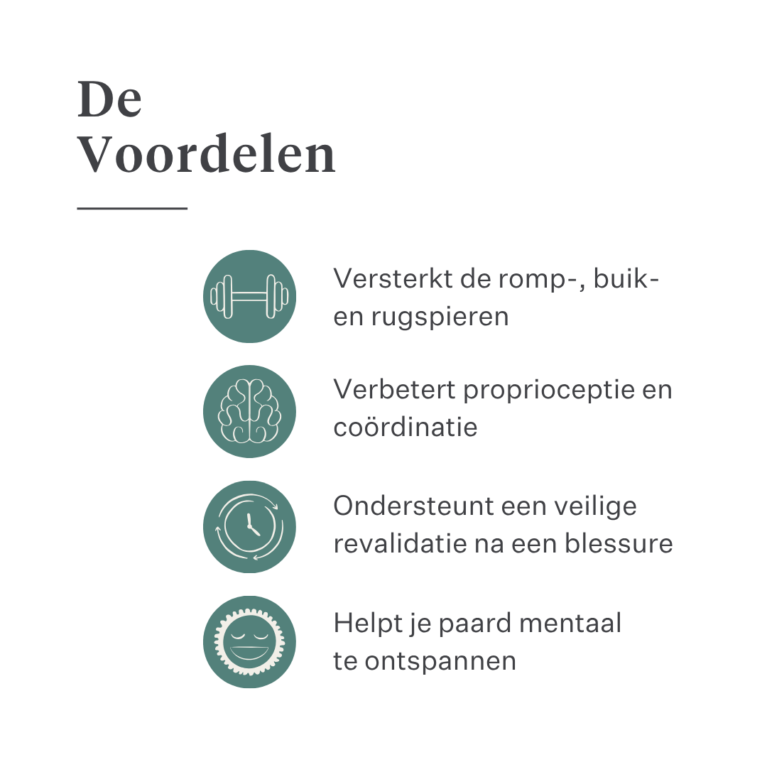 Equimove Balance Pads evenwichtstraining core stabiliteit revalidatie proprioceptie paard training | localization: NL