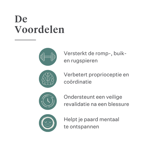 Equimove Balance Pads evenwichtstraining core stabiliteit revalidatie proprioceptie paard training | localization: NL