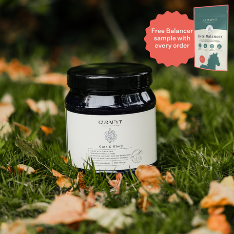 Guts & Glory Supplement