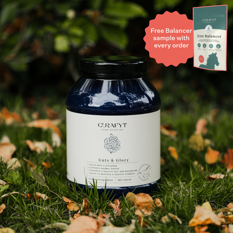 Guts & Glory Supplement