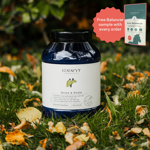 Detox & Drain