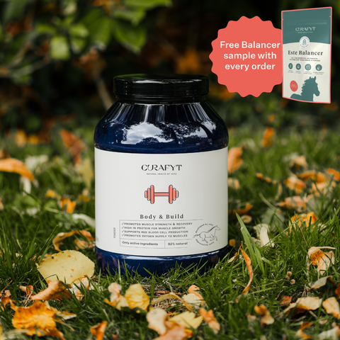 Body & Build