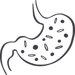 Stomach Health Icon