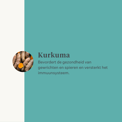 Natuurlijk kurkuma curcuma longa supplement voor honden gewrichten | localization: NL