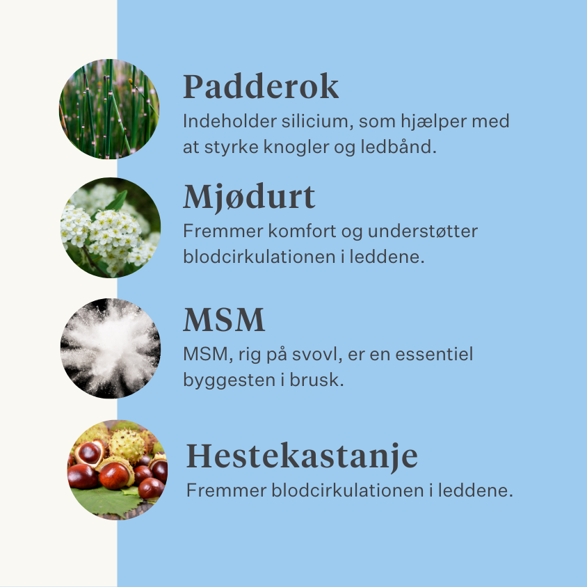 Naturligt tilskud til hundehvalpe Ledbånd Sener Muskler | localization: DA