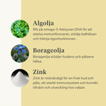 hund, valp, laxolja, omega-3, kliande hud, torr hud, leder, immunitet, tillskott, kosttillskott | localization: SV