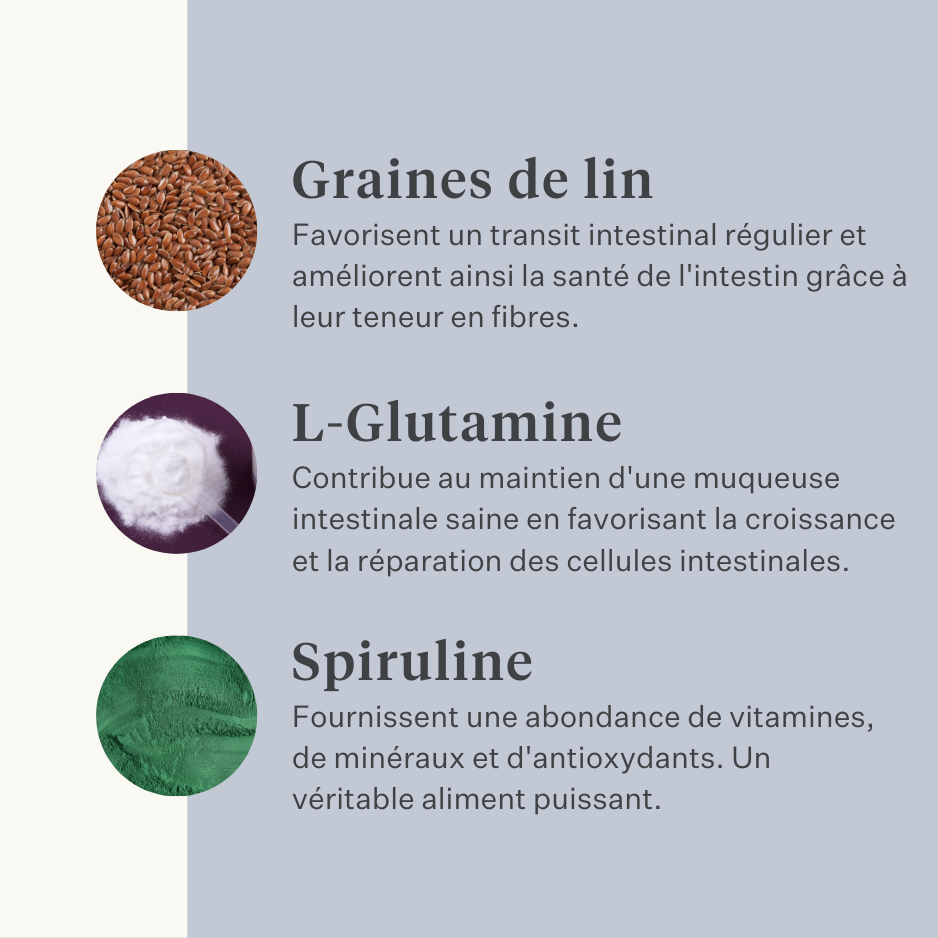 Supplément végan pour chien pour l'estomac, la digestion, les flatulences, probiotiques, prébiotiques, enzymes digestives  | localization: FR