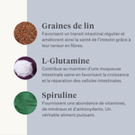 Supplément végan pour chien pour l'estomac, la digestion, les flatulences, probiotiques, prébiotiques, enzymes digestives  | localization: FR
