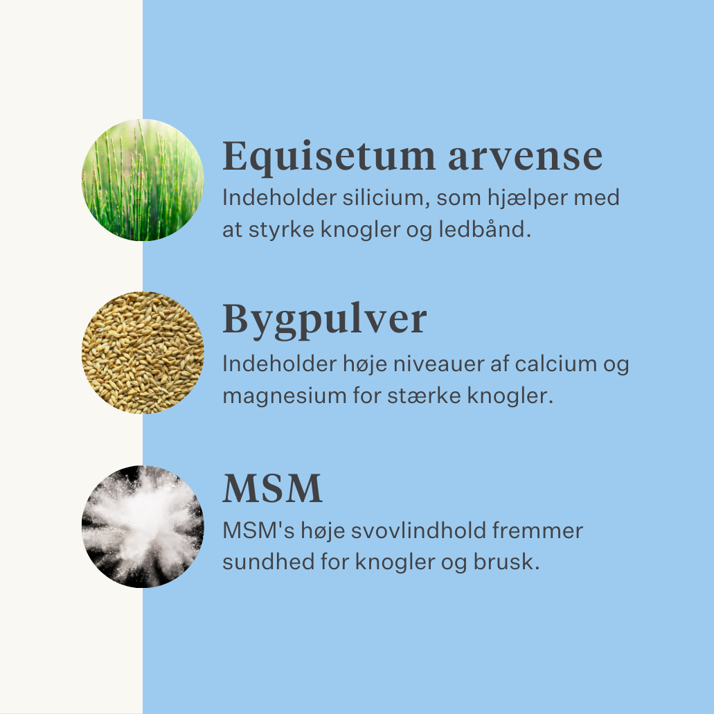 naturligt tilskud hest pony led ledbånd sener muskler | localization: DA