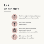  jument poulain cheval poney fertilité utérus chaleurs comportement de la jument cycle en chaleur équin équilibre hormonal | localization: FR
