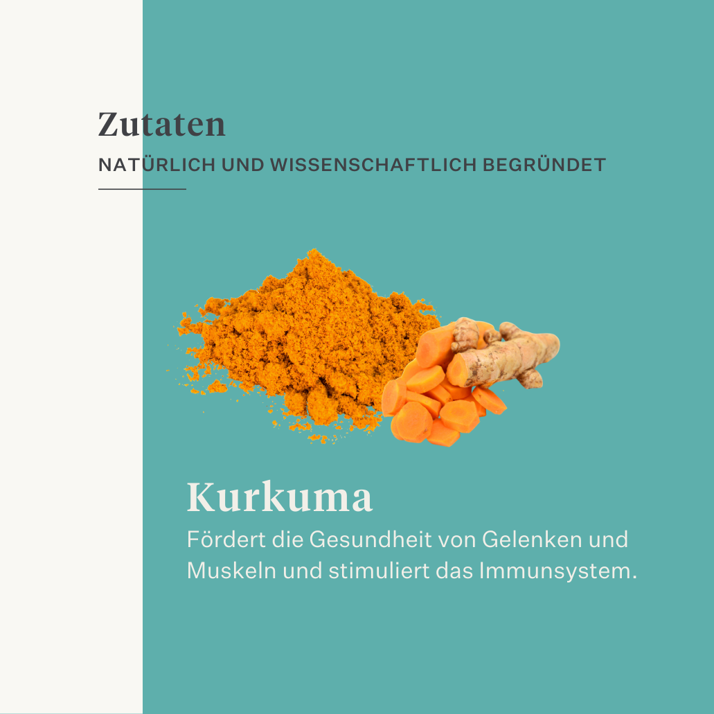 Ergänzung Immunität Muskeln Haut Darm Kurkuma Curcumin Pferd Pony | localization: DE