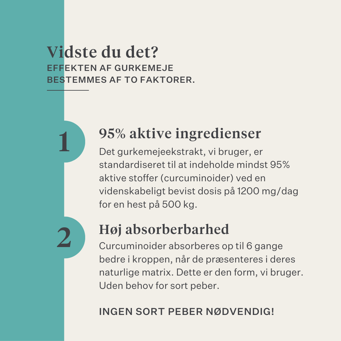 immunitet hud tarm gurkemeje curcumin hest pony | localization: DA