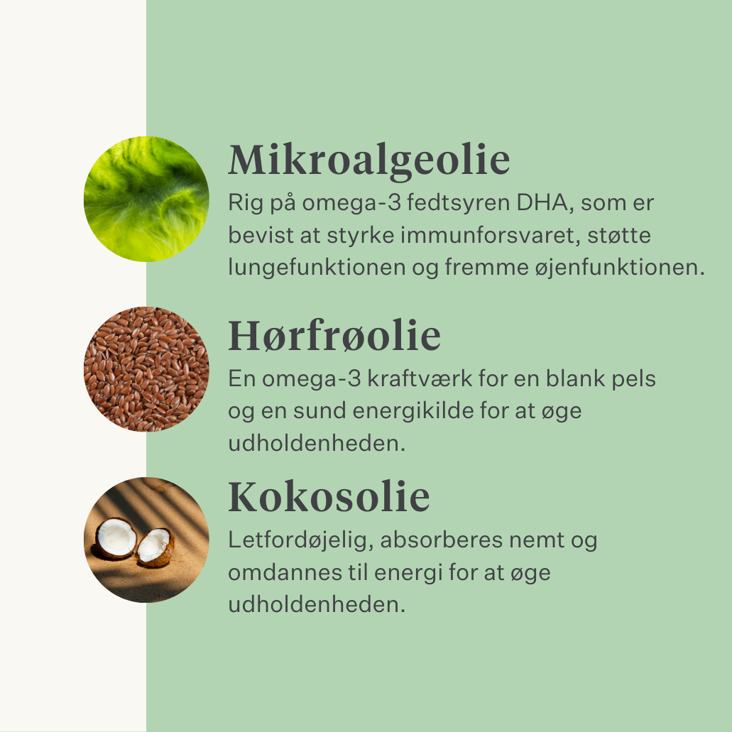 Supplement koldpresset olie til heste udholdenhed vægt muskler vitamin E hørfrøolie DHA EPA omega-3  | localization: DA