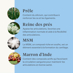 Complément naturel chien chiot articulations ligaments tendons muscles | localization: FR