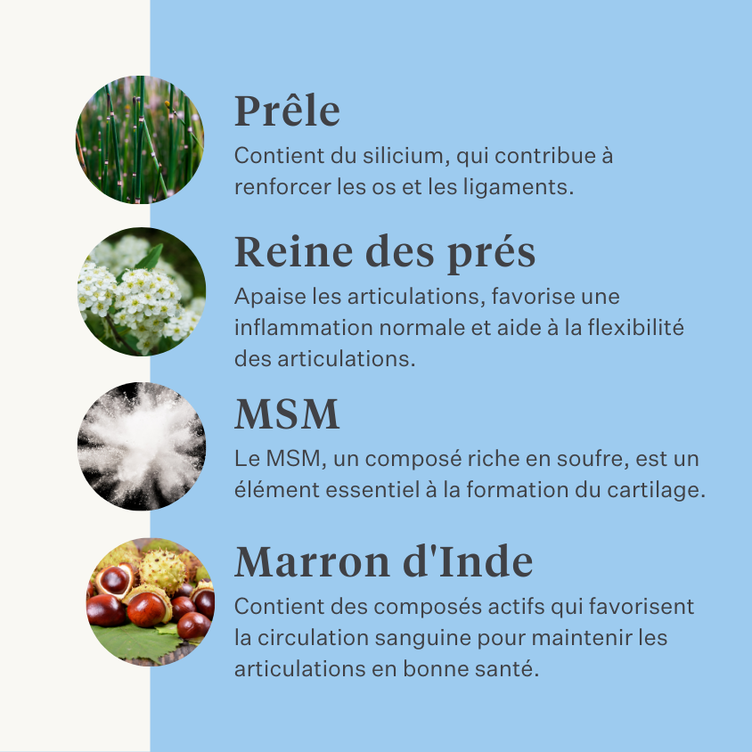Complément naturel chien chiot articulations ligaments tendons muscles | localization: FR