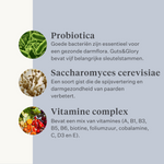 Paard, pony, koliek, gas, maagzweren, probiotica, prebiotica, lijnzaad, diarree, waterige ontlasting, mestwater | localization: NL