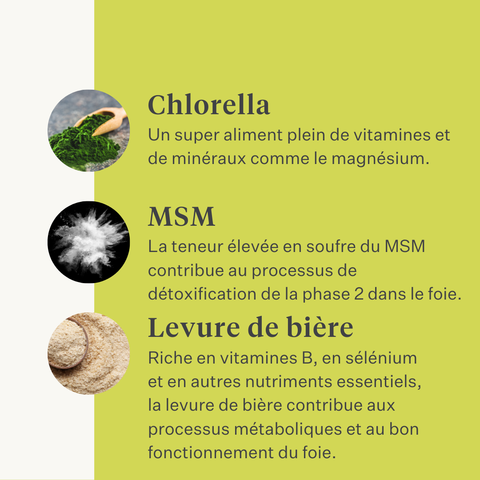 Detox&Drain détoxication du foie soutien hépatique pour chevaux et poneys santé du foie détoxification | localization: FR