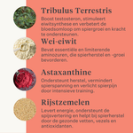 Body & Build supplement voor paarden, ondersteunt spieropbouw en herstel, rijk aan aminozuren en natuurlijke ingrediënten, verbetert kracht en prestaties. | localization: NL