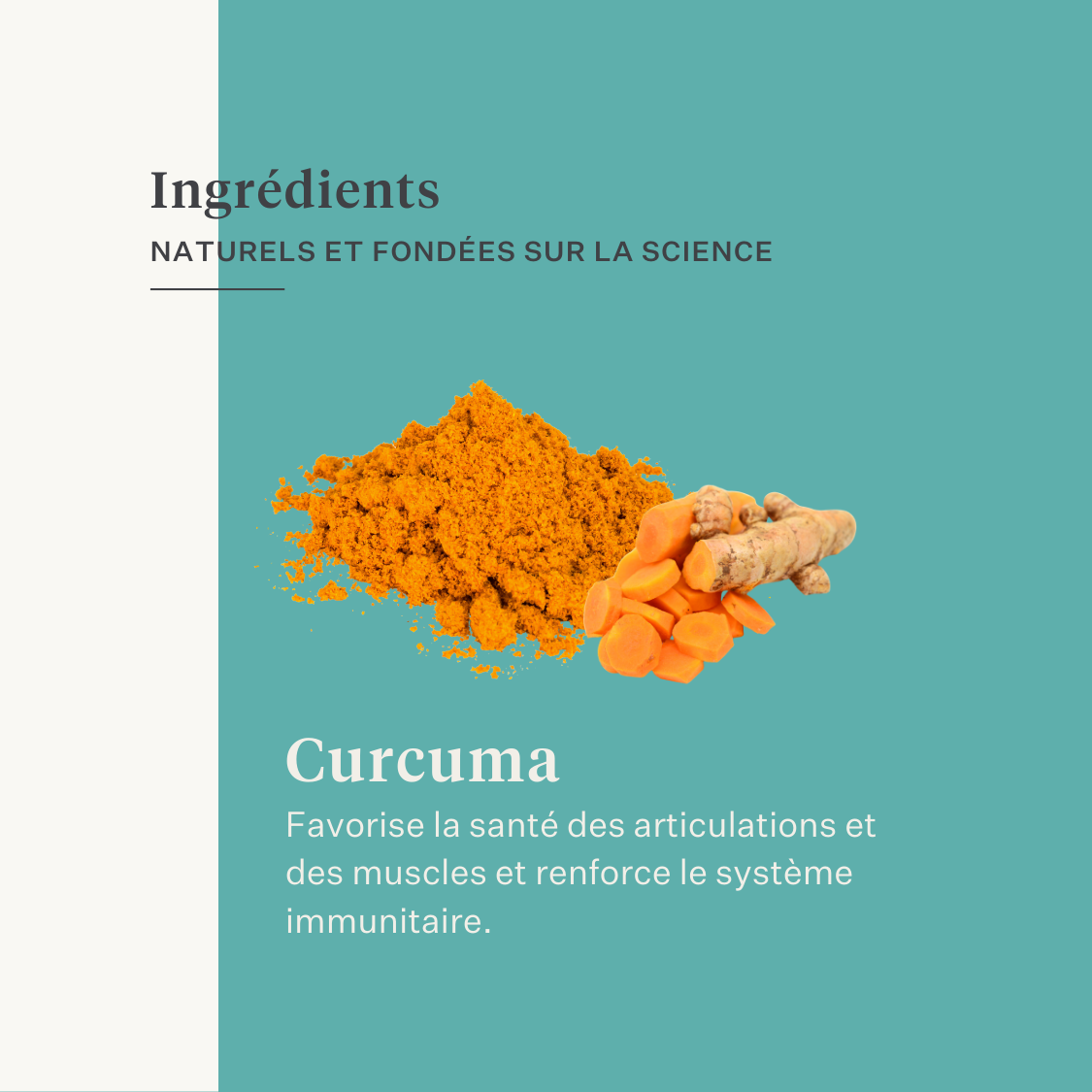 muscle muscle acidose supplément cheval poney immunité intestin peau | localization: FR