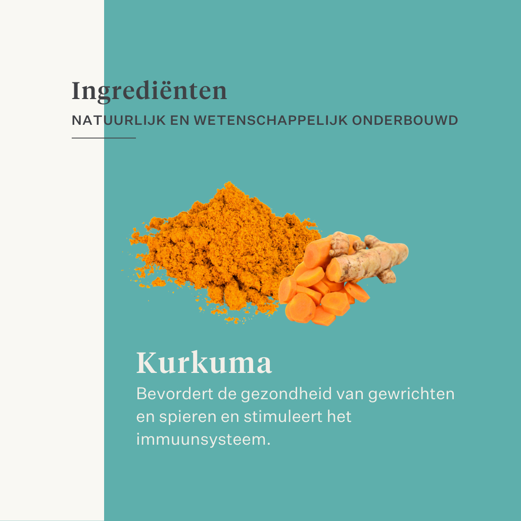 spieren spierverzuring supplement paard pony immuniteit darm huid | localization: NL