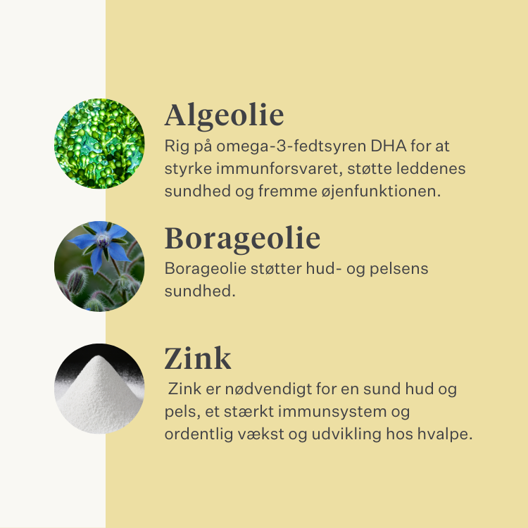 hund, hvalp, lakseolie, omega-3, kløende hud, tør hud, led, immunitet, supplement, kosttilskud | localization: DA
