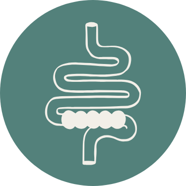 Intestinal and Gut Icon