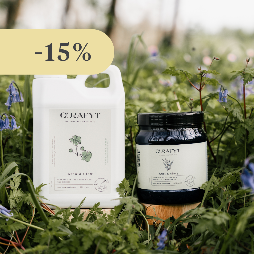 Bundle Digestion optimale