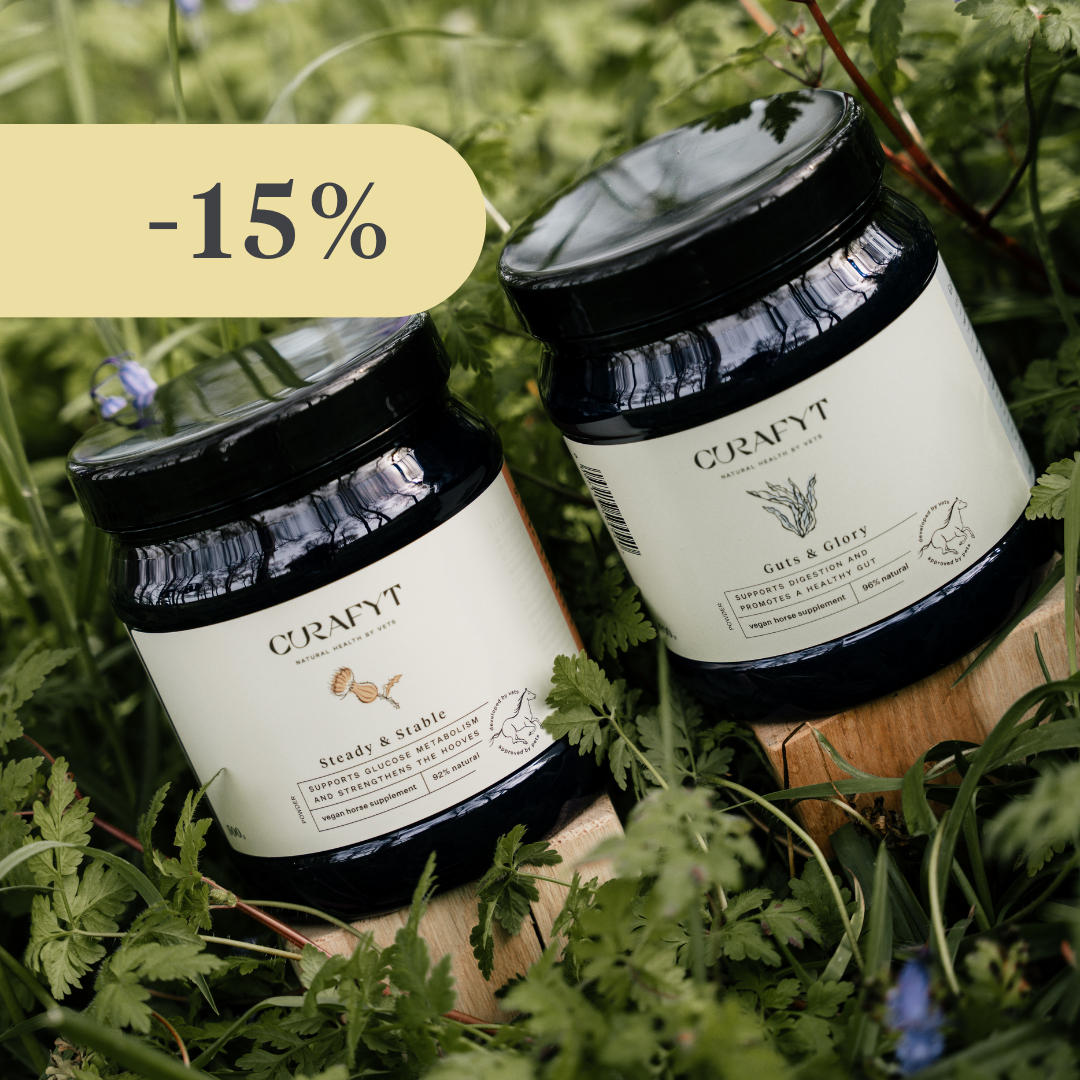 Bundle Herbe fraîche de printemps