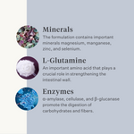 horse pony gut colic gas stomach ulcers probiotics prebiotics flaxseed diarrhea watery feces soft feces | localization: EN