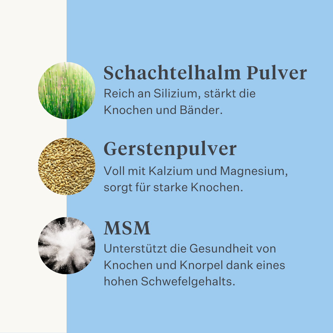 Natürliches Ergänzungsmittel für Pferd und Pony, Gelenke, Bänder, Sehnen, Muskeln | localization: DE