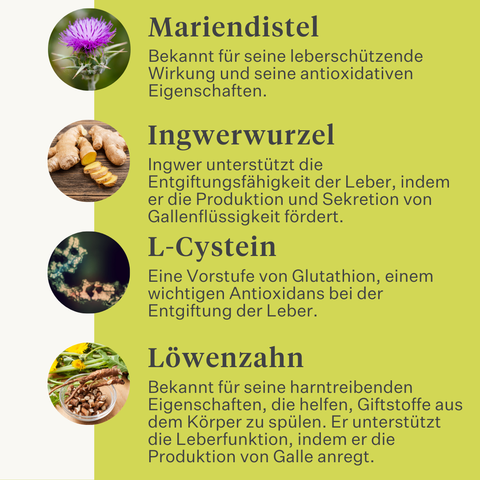 Detox&Drain Leberentgiftung Leberunterstützung für Pferde und Ponys Lebergesundheit Entgiftung | localization: DE