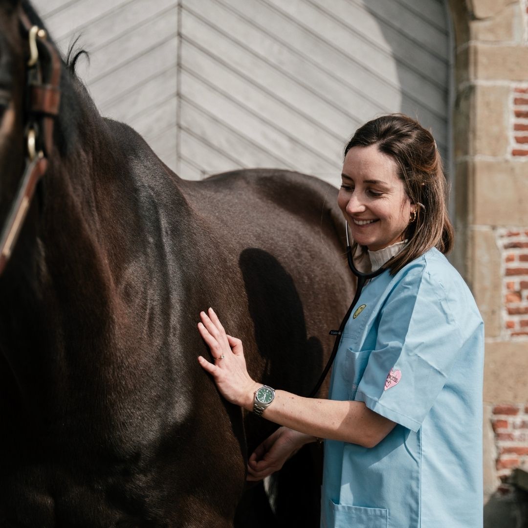 Horse Vet Valerie