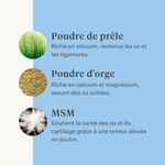 Supplément naturel pour cheval et poney, articulations, ligaments, tendons, muscles | localization: FR