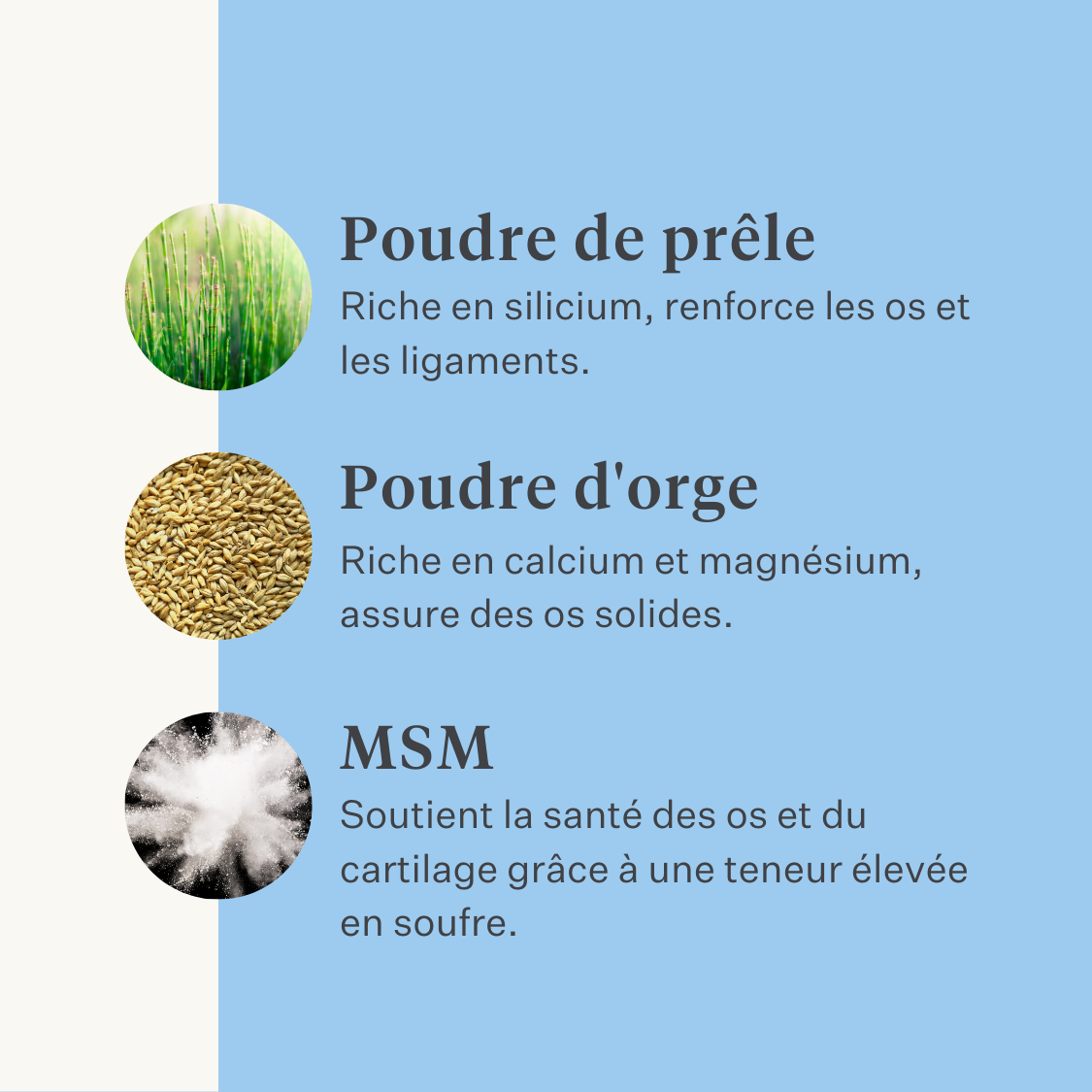 Supplément naturel pour cheval et poney, articulations, ligaments, tendons, muscles | localization: FR