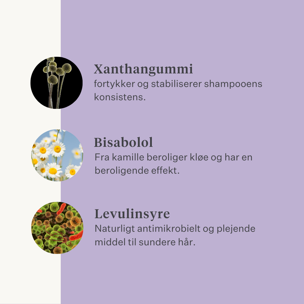 shampoo hest pony følsom hud skinnende pels kløende hud eksem | localization: DA