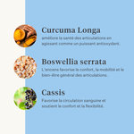 Complément naturel chien chiot articulations ligaments tendons muscles | localization: FR