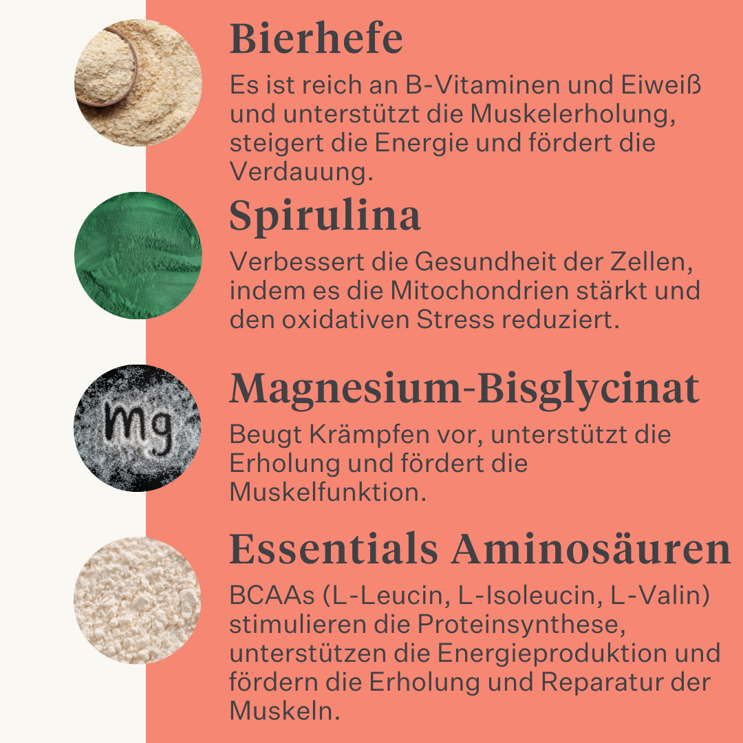 Body & Build Ergänzungsfuttermittel für Pferde, unterstützt Muskelaufbau und Regeneration, reich an Aminosäuren und natürlichen Inhaltsstoffen, verbessert Kraft und Leistung. | localization: DE