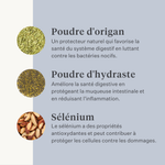 Supplément végan pour chien pour l'estomac, la digestion, les flatulences, probiotiques, prébiotiques, enzymes digestives  | localization: FR
