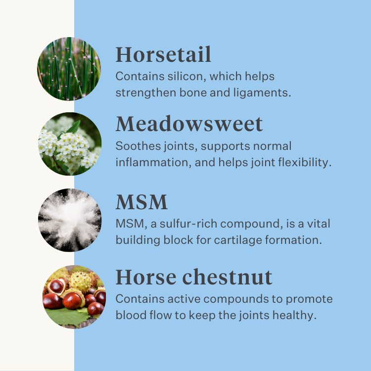 Natural supplement dog puppy joints ligaments tendons muscles | localization: EN