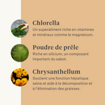 Steady&Stable Curafyt complément pour chevaux et poneys, fourbure, sensibilité des sabots, insuline, glucose, PPID, maladie de Cushing | localization: FR