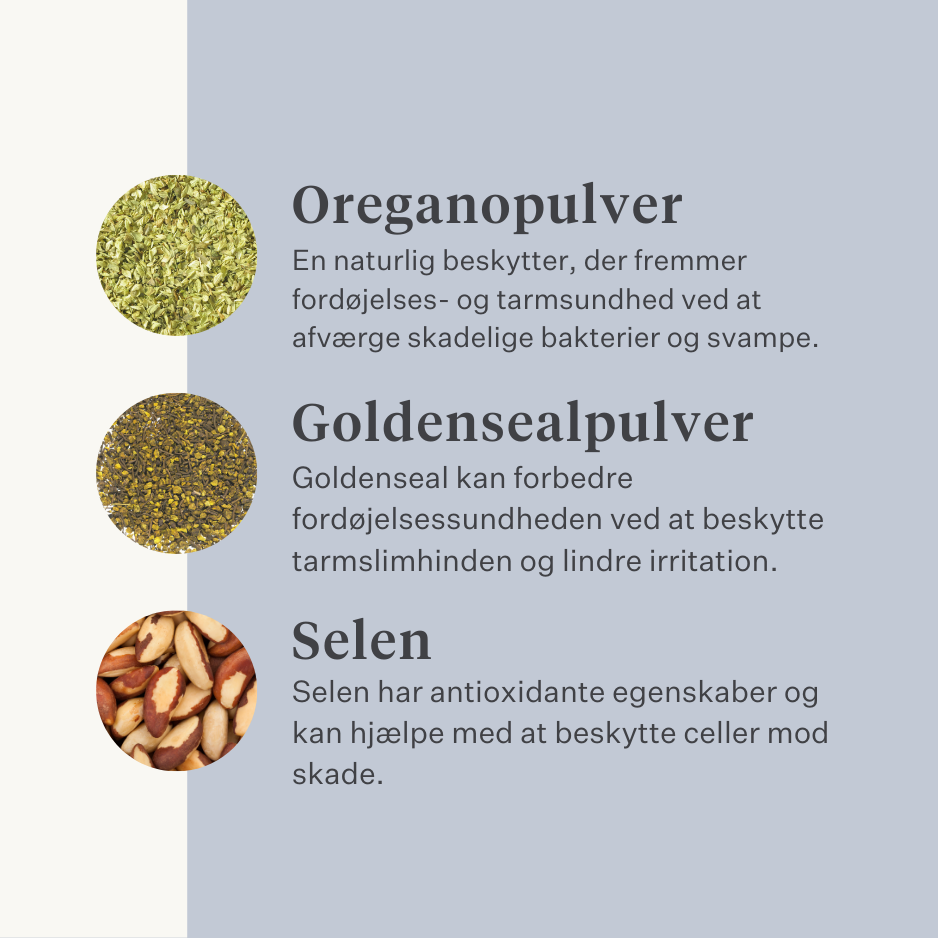 Vegansk hundetilskud til mave, fordøjelse, prutter, probiotika, præbiotika, fordøjelsesenzymer | localization: DA