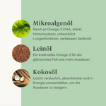 Ergänzung kaltgepresstes Öl Pferdeausdauer Gewicht Muskeln Vitamin E Leinöl DHA EPA Omega-3 | localization: DE