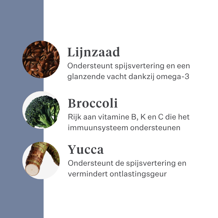 Imby Sensitive hondenvoer, volledig droogvoer op basis van insecten voor honden met voedselallergieën, ondersteunt de spijsvertering en huidgezondheid, graanvrij met prebiotica en natuurlijke ingrediënten, uitgebalanceerde formule ontwikkeld door dierenartsen, zeer smakelijke brok. | localization: NL