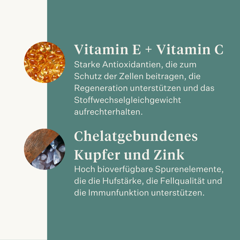 Este Balancer Mineralfutter für Pferde, entwickelt von der Pferdetierärztin Dr. Sara Torfs, ergänzt Raufutterrationen mit essenziellen Vitaminen, Mineralstoffen und gesunden Fetten für glänzendes Fell, starke Hufe und eine gesunde Verdauung. | localization: DE
