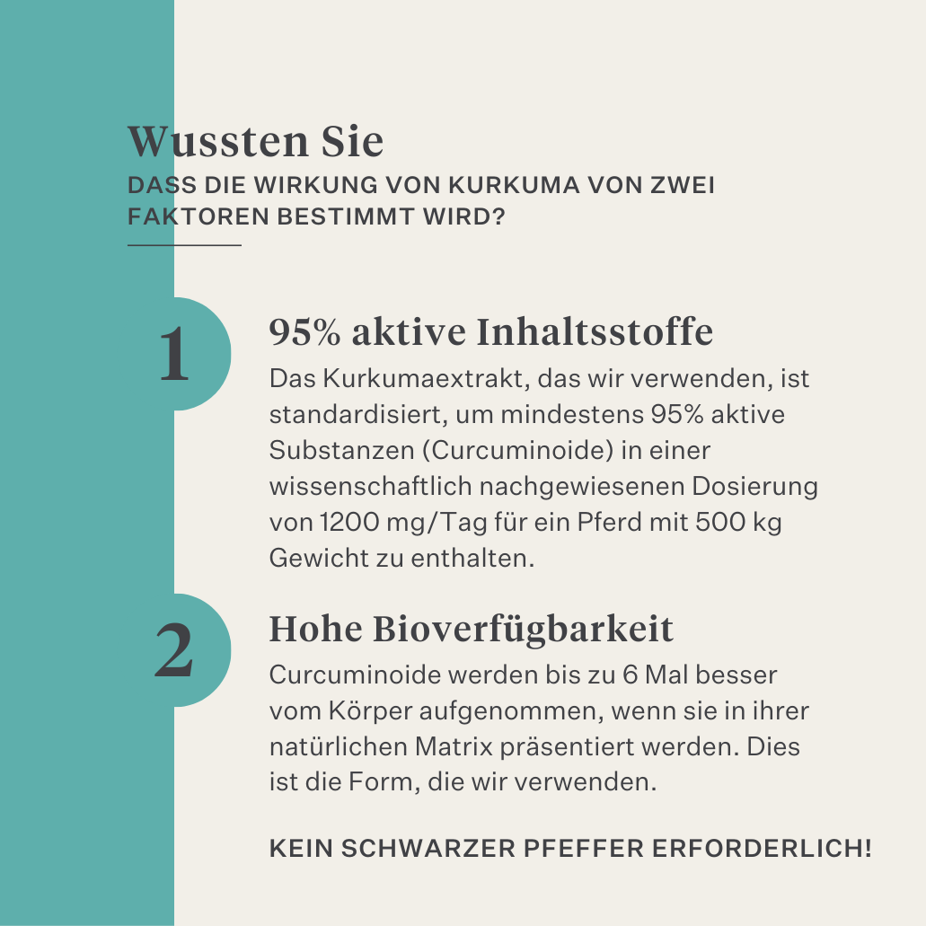 Ergänzung Immunität Muskeln Haut Darm Kurkuma Curcumin Pferd Pony | localization: DE
